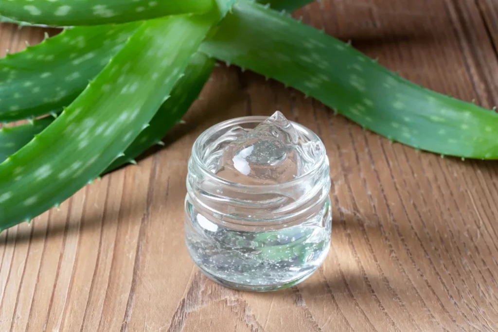 Refreshing and Moisturizing Aloe Vera Body Wash