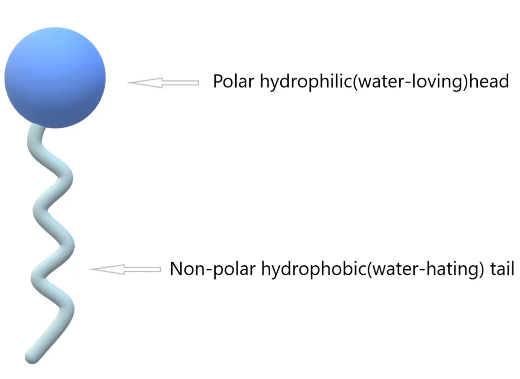 general structure of a surfactant molecule