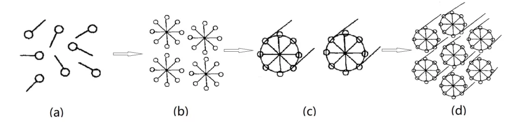 Surfactant micelles forming